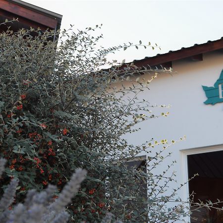 Edenia Hotel & Nature Ελ Καλαφάτε Εξωτερικό φωτογραφία