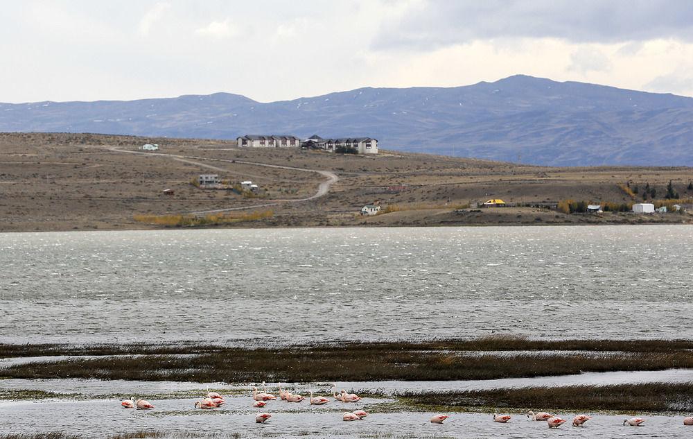 Edenia Hotel & Nature Ελ Καλαφάτε Εξωτερικό φωτογραφία