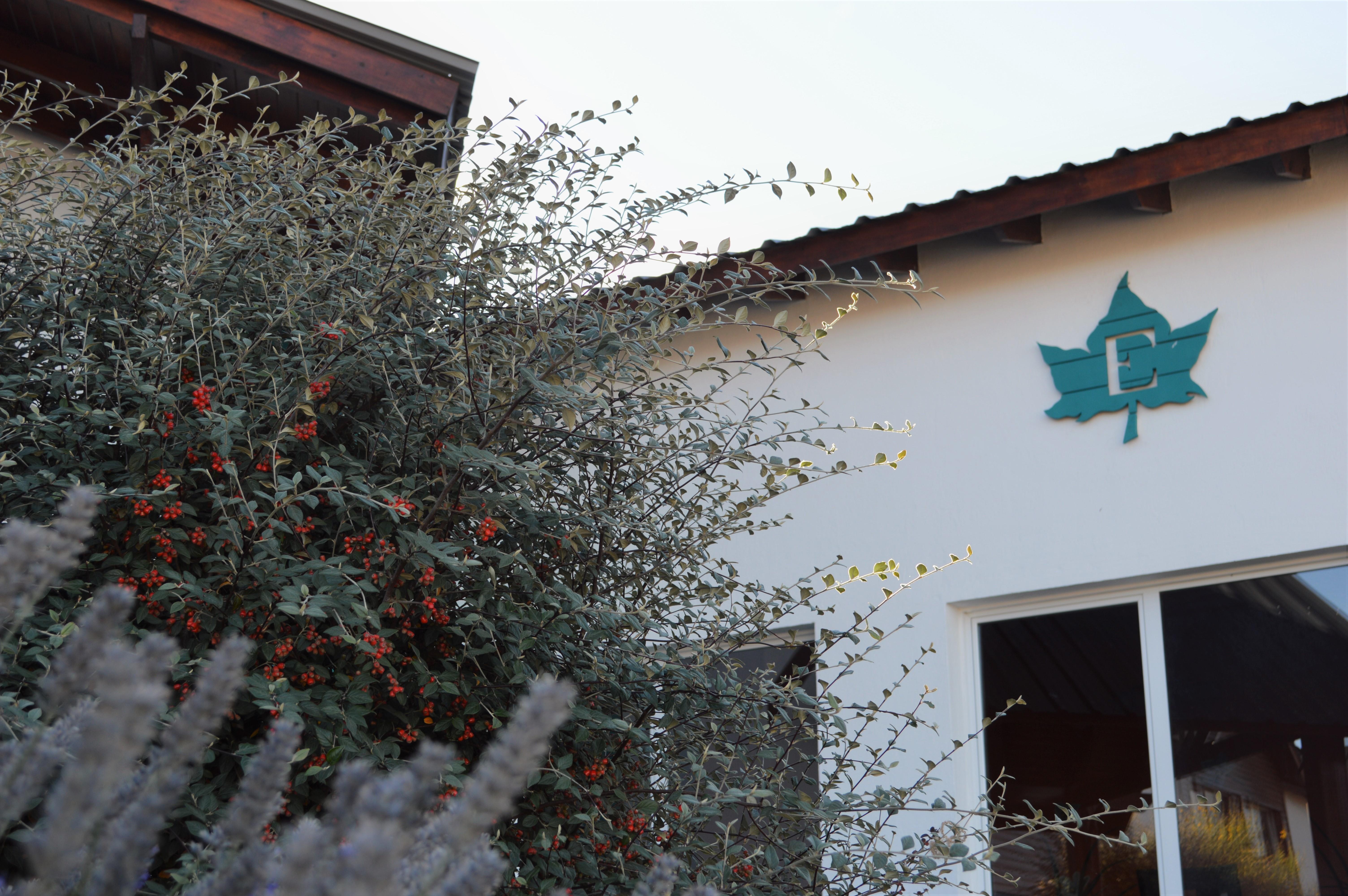 Edenia Hotel & Nature Ελ Καλαφάτε Εξωτερικό φωτογραφία